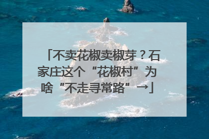 不卖花椒卖椒芽？石家庄这个“花椒村”为啥“不走寻常路”→