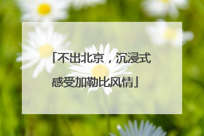 不出北京，沉浸式感受加勒比风情