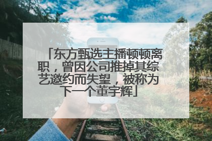 东方甄选主播顿顿离职，曾因公司推掉其综艺邀约而失望，被称为下一个董宇辉
