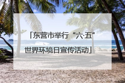 东营市举行“六·五”世界环境日宣传活动