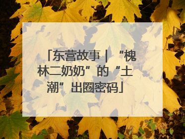 东营故事｜“槐林二奶奶”的“土潮”出圈密码