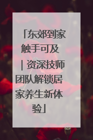 东郊到家 触手可及｜资深技师团队解锁居家养生新体验