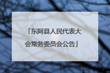 东阿县人民代表大会常务委员会公告