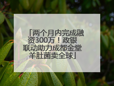 两个月内完成融资300万！政银联动助力成都金堂羊肚菌卖全球