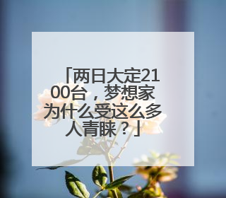 两日大定2100台，梦想家为什么受这么多人青睐？