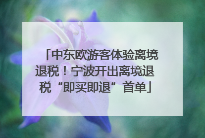 中东欧游客体验离境退税！宁波开出离境退税“即买即退”首单