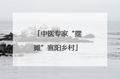 中医专家“摆摊”宜阳乡村