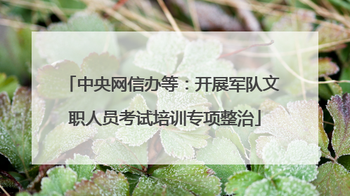 中央网信办等：开展军队文职人员考试培训专项整治