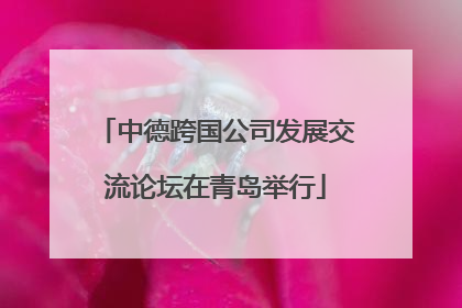 中德跨国公司发展交流论坛在青岛举行