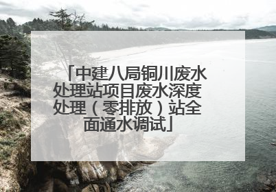 中建八局铜川废水处理站项目废水深度处理（零排放）站全面通水调试
