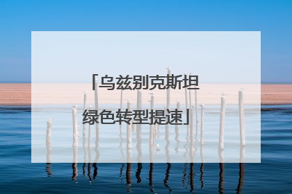 乌兹别克斯坦绿色转型提速