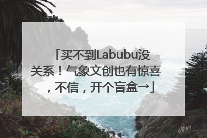 买不到Labubu没关系！气象文创也有惊喜，不信，开个盲盒→