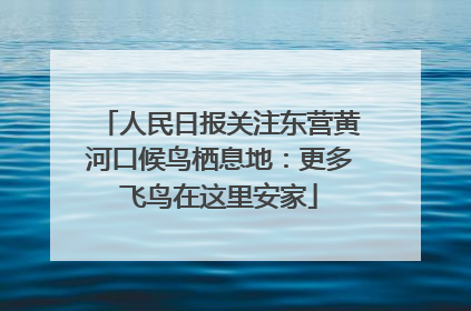 人民日报关注东营黄河口候鸟栖息地：更多飞鸟在这里安家
