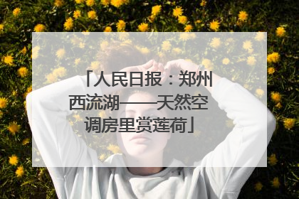 人民日报：郑州西流湖——天然空调房里赏莲荷