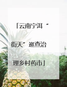 云南宁洱“街天”巡查治理乡村药市