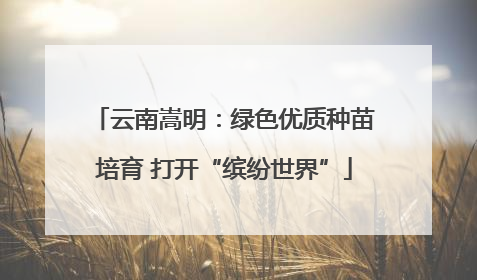 云南嵩明：绿色优质种苗培育 打开“缤纷世界”