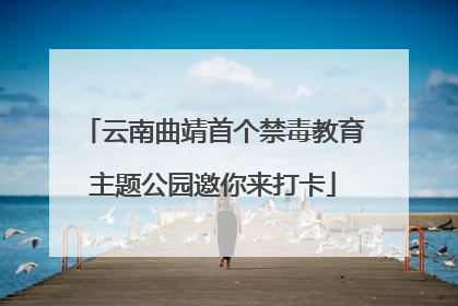 云南曲靖首个禁毒教育主题公园邀你来打卡