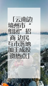 云南边境州市“组团”招商 边民互市落地加工成投资热点