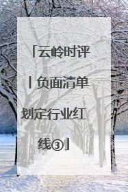 云岭时评丨负面清单划定行业红线③