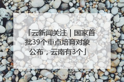 云新闻关注｜国家首批39个重点培育对象公布，云南有3个