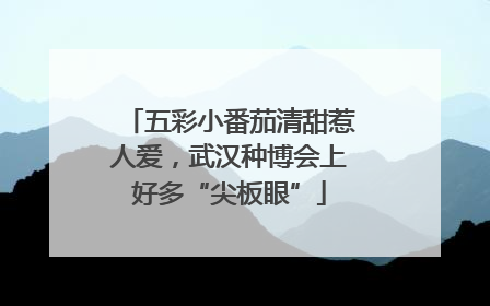 五彩小番茄清甜惹人爱，武汉种博会上好多“尖板眼”