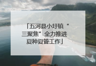 五河县小圩镇“三聚焦”全力推进夏种夏管工作