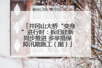 井冈山大桥“变身”进行时：拆旧建新同步推进 多举措保障汛期施工（图）