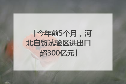 今年前5个月，河北自贸试验区进出口超300亿元