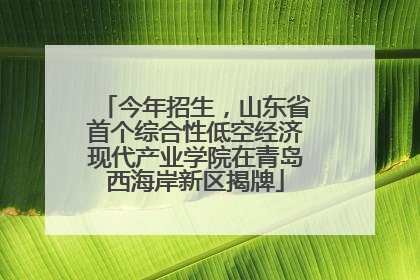今年招生，山东省首个综合性低空经济现代产业学院在青岛西海岸新区揭牌