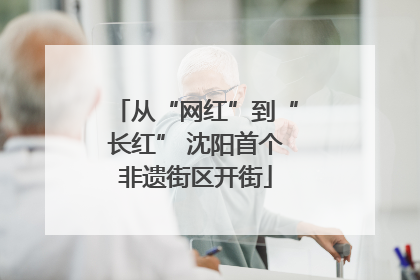 从“网红”到“长红” 沈阳首个非遗街区开街