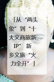 从“两头象”到“十大文商旅新IP” 新乡文旅“火力全开”