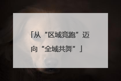 从“区域竞跑”迈向“全域共舞”
