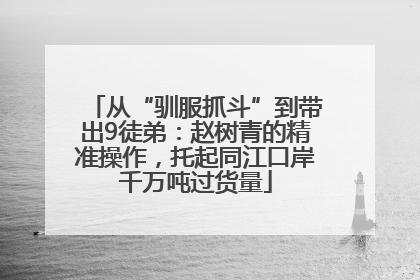 从“驯服抓斗”到带出9徒弟：赵树青的精准操作，托起同江口岸千万吨过货量