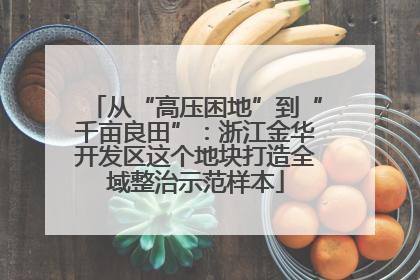 从“高压困地”到“千亩良田”：浙江金华开发区这个地块打造全域整治示范样本