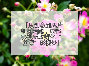 从创意到成片细腻陪跑，成都影视新政孵化“蓉漂”影视梦