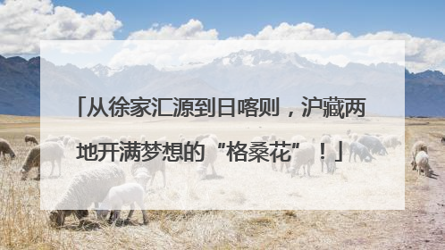 从徐家汇源到日喀则,沪藏两地开满梦想的“格桑花”!