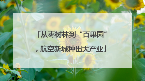 从枣树林到“百果园”，航空新城种出大产业