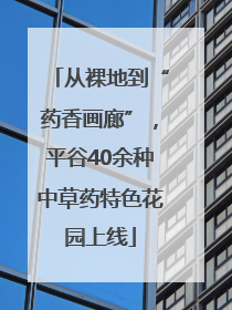 从裸地到“药香画廊”，平谷40余种中草药特色花园上线