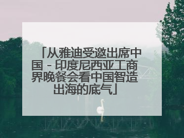 从雅迪受邀出席中国－印度尼西亚工商界晚餐会看中国智造出海的底气