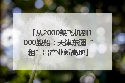从2000架飞机到1000艘船：天津东疆“租”出产业新高地