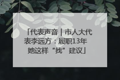 代表声音｜市人大代表李远方：履职13年 她这样“找”建议