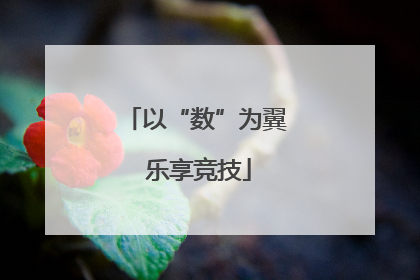 以“数”为翼 乐享竞技