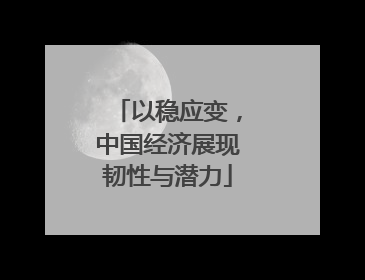 以稳应变，中国经济展现韧性与潜力