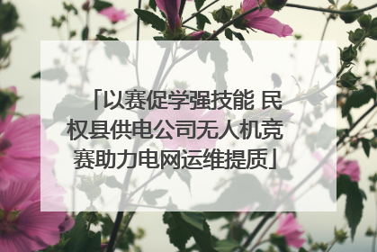 以赛促学强技能 民权县供电公司无人机竞赛助力电网运维提质