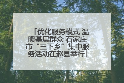 优化服务模式 温暖基层群众 石家庄市“三下乡”集中服务活动在赵县举行