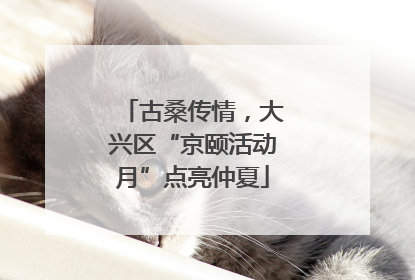古桑传情，大兴区“京颐活动月”点亮仲夏