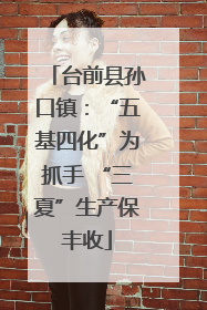台前县孙口镇：“五基四化”为抓手 “三夏”生产保丰收