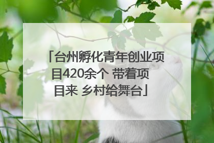 台州孵化青年创业项目420余个 带着项目来 乡村给舞台