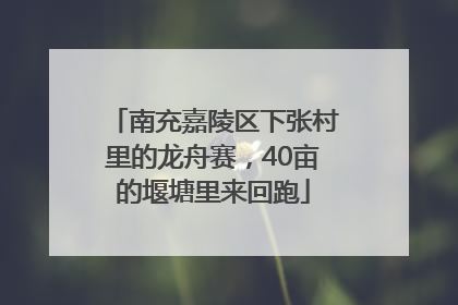 南充嘉陵区下张村里的龙舟赛，40亩的堰塘里来回跑