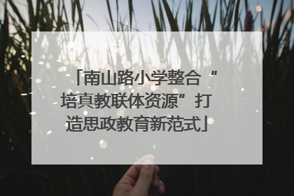 南山路小学整合“培真教联体资源”打造思政教育新范式